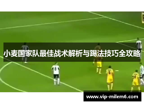 小麦国家队最佳战术解析与踢法技巧全攻略
