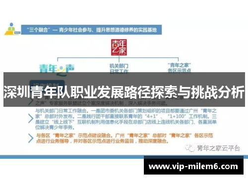 深圳青年队职业发展路径探索与挑战分析