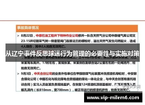 从辽宁事件反思球迷行为管理的必要性与实施对策