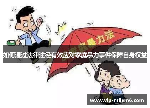 如何通过法律途径有效应对家庭暴力事件保障自身权益