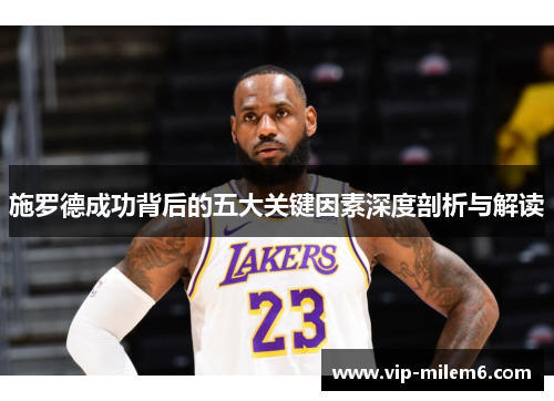 施罗德成功背后的五大关键因素深度剖析与解读