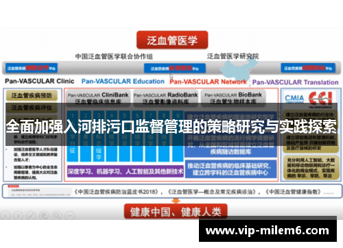 全面加强入河排污口监督管理的策略研究与实践探索