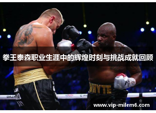 拳王泰森职业生涯中的辉煌时刻与挑战成就回顾