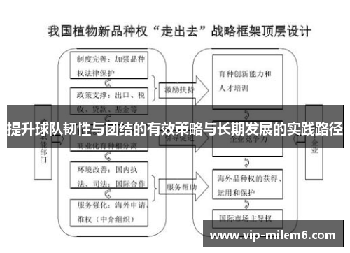 提升球队韧性与团结的有效策略与长期发展的实践路径