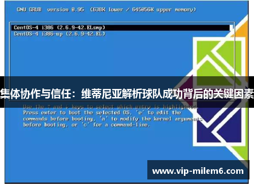 集体协作与信任：维蒂尼亚解析球队成功背后的关键因素
