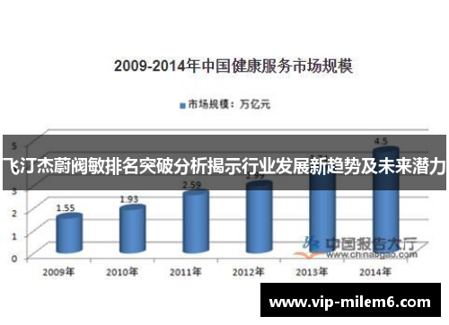 飞汀杰蔚阀敏排名突破分析揭示行业发展新趋势及未来潜力