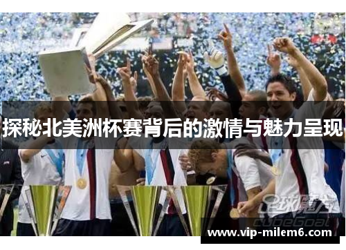 探秘北美洲杯赛背后的激情与魅力呈现