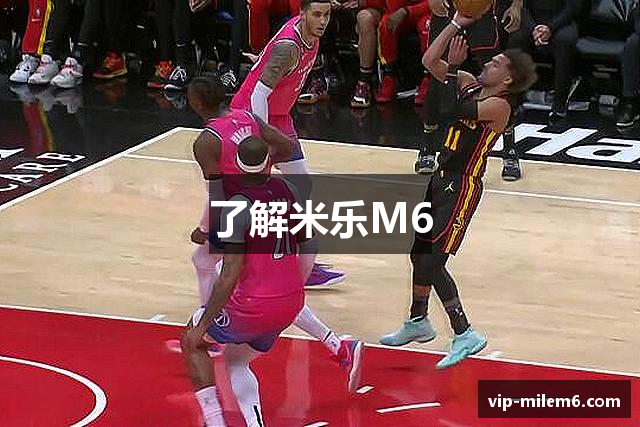 了解米乐M6